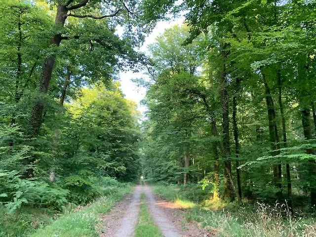 Relais Le Bocage Hotel Pontmain